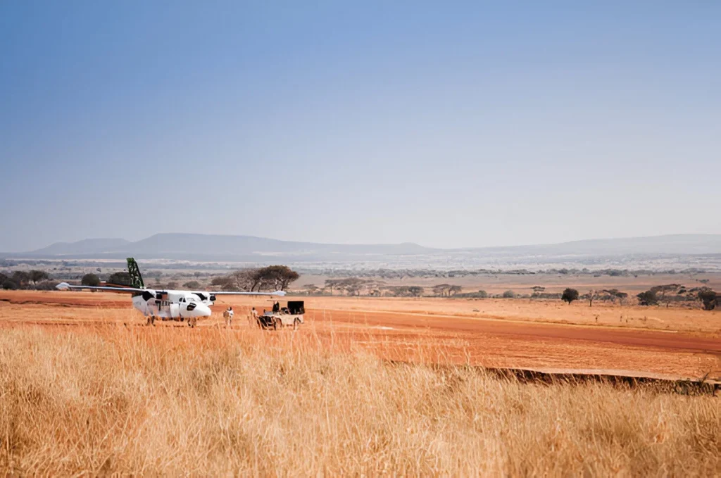 3 Days Fly-in, Fly-out Comfort Safari to Serengeti