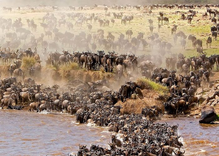 Best_Time_to_See_the_Serengeti_Migration_1773141957