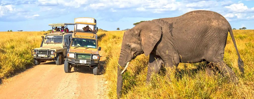 How-Many-Days-You-Need-for-a-Safari-in-Tanzania